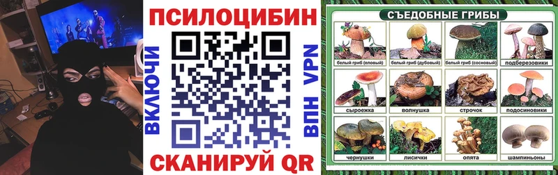 Псилоцибиновые грибы Psilocybe  omg рабочий сайт  Венёв 